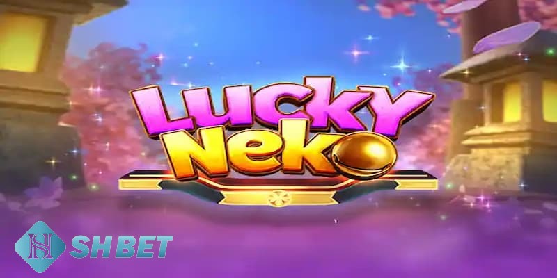 Neko may mắn Neko may mắn