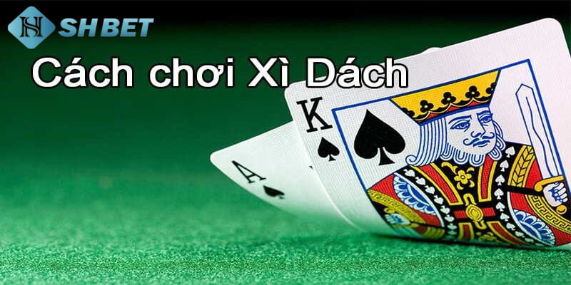 cách đếm bài xì dách Đếm bài xì dách có quan trọng hay không?