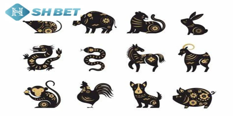 Có nhiều lý do Lý do nên chơi bộ lô đề với 12 con giáp 