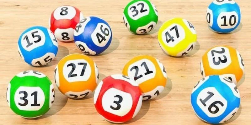 Hướng dẫn cách xây dựng dàn đề nuôi 2 ngày 